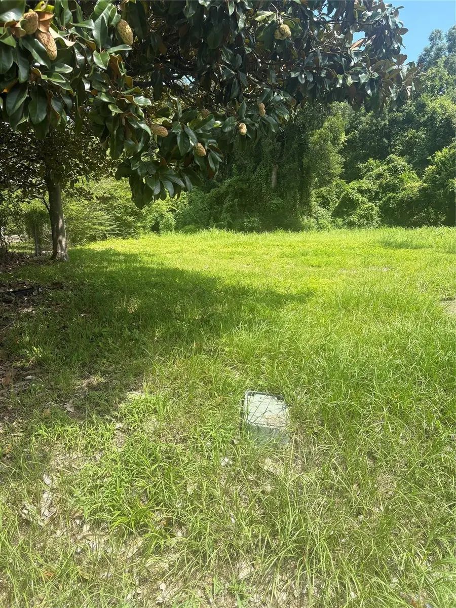 225 E Delaware Street, Beaumont, TX 77703 - #2