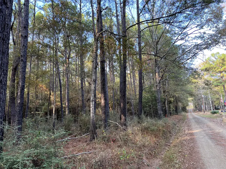 TBD County Rd 2940, Shelbyville, TX 75973 - #2