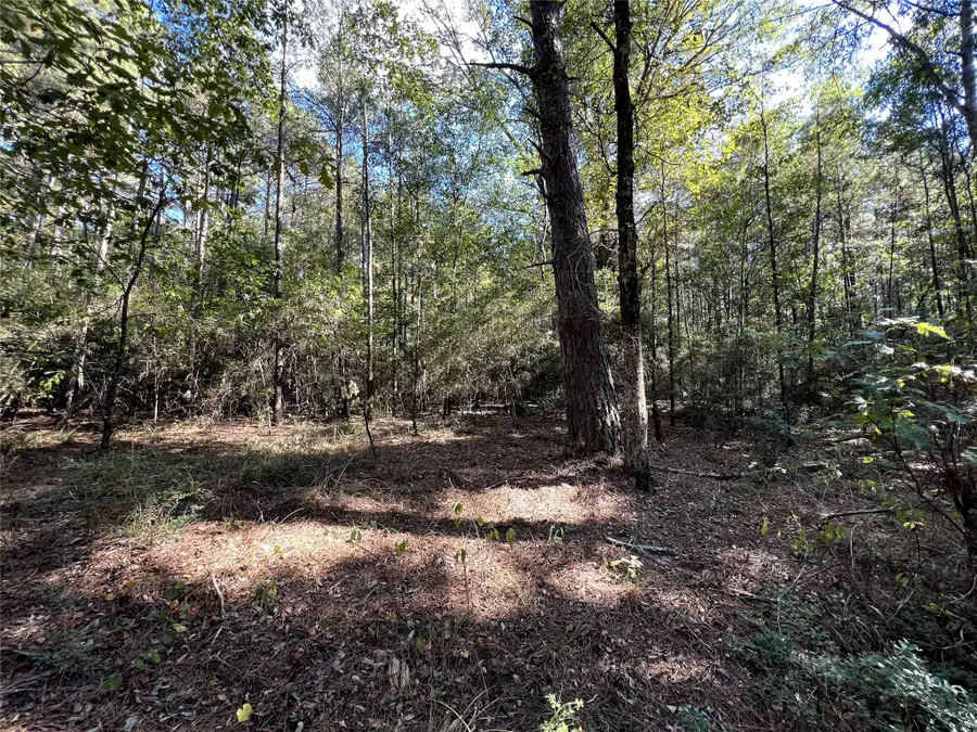 TBD County Rd 2940, Shelbyville, TX 75973 - #3
