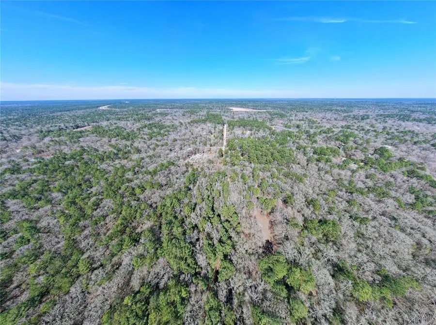 TBD Little John Street, Montgomery, TX 77316 - Image #3