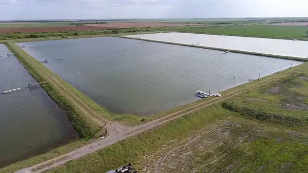 7979 Goyo Garcia Road, Raymondville, TX 78580