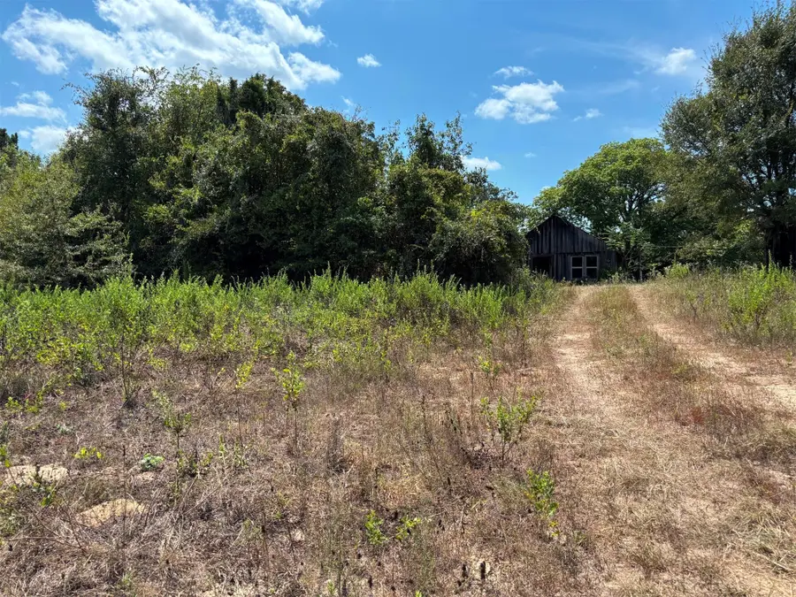 000 Cr 1902, Jacksonville, TX 75766 - Image #3