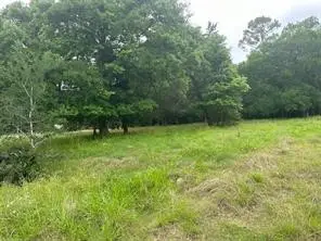 516 Falcon Drive, Trinity, TX 75862 - #2