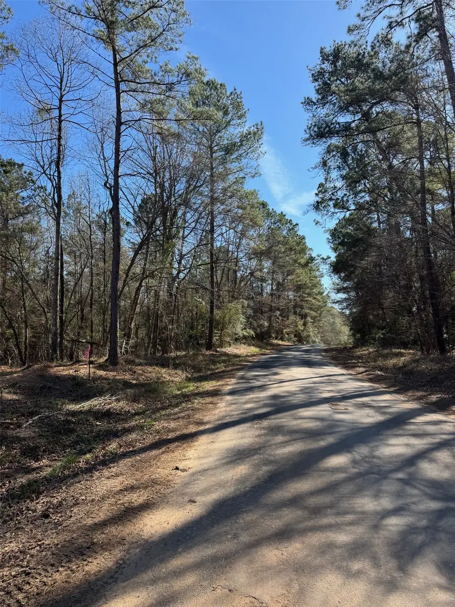 TBD Horace Bonds Road, Livingston, TX 77351 - #3