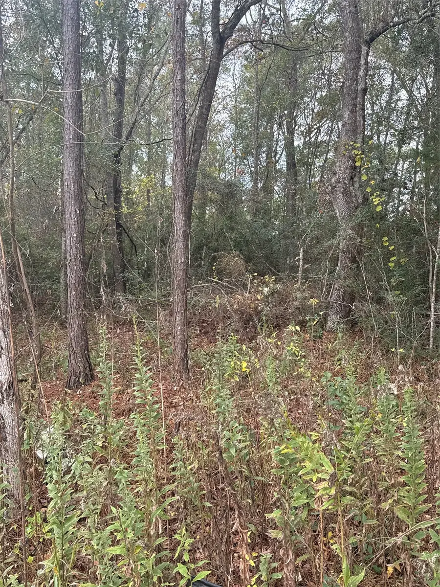 TBD County Road 427, Dayton, TX 77535 - #2