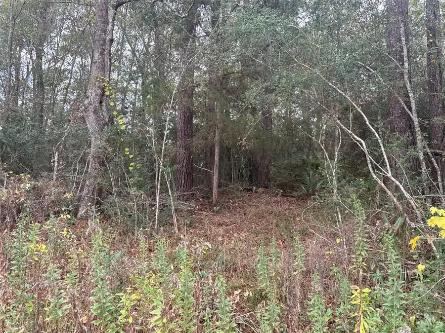 TBD County Road 427, Dayton, TX 77535 - #3