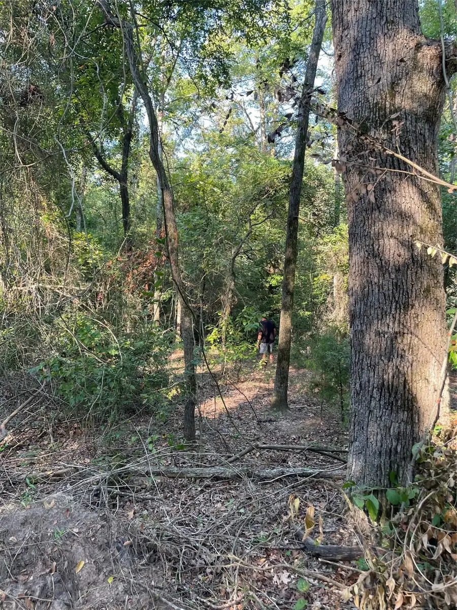 TBD Fm 1469, Marquez, TX 77865 - Image #2