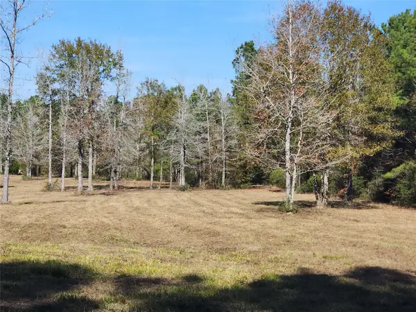 0 Bailey Grove Road, Montgomery, TX 77356