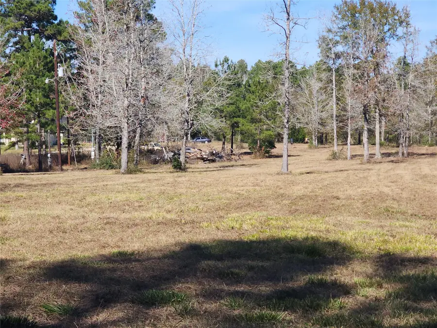0 Bailey Grove Road, Montgomery, TX 77356 - Image #2