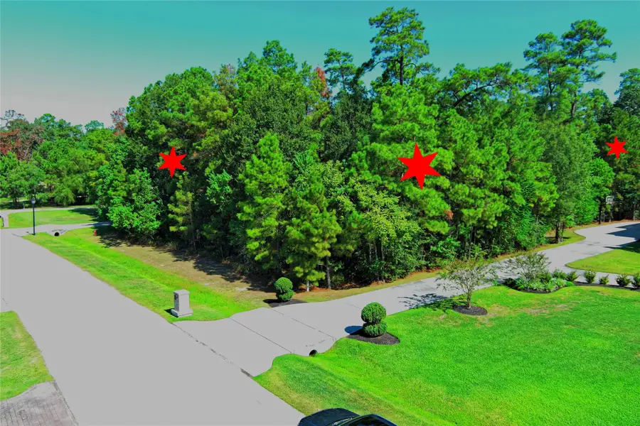 5603 White Birch Run, Spring, TX 77386 - Image #2