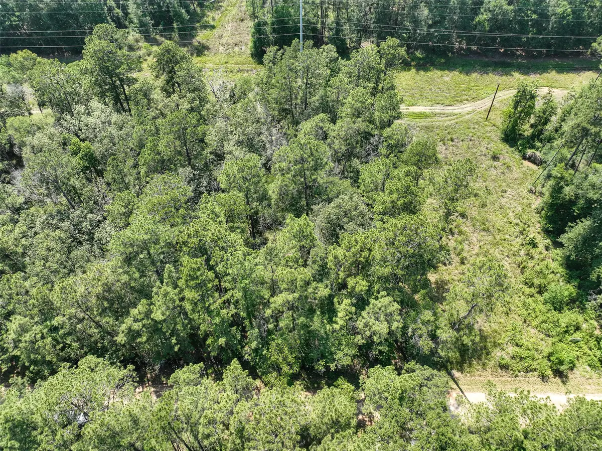 00 Fairway Dr, New Caney, TX 77357 - #1