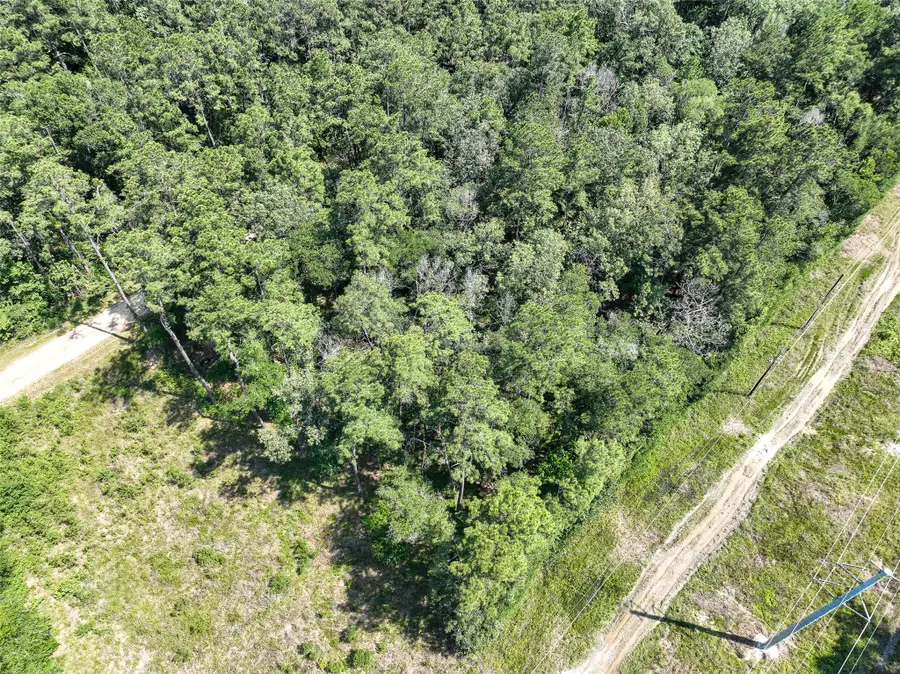 00 Fairway Dr, New Caney, TX 77357 - #3