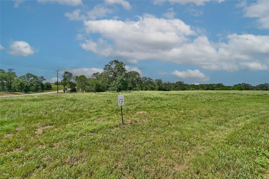 180 Sunny Day Dr, Red Rock, TX 78662 - Image #3