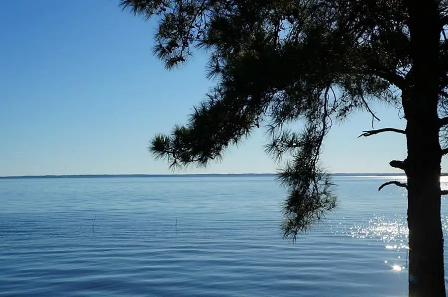 TBD Bridgelanding---lot 57, Onalaska, TX 77360 - Image #3