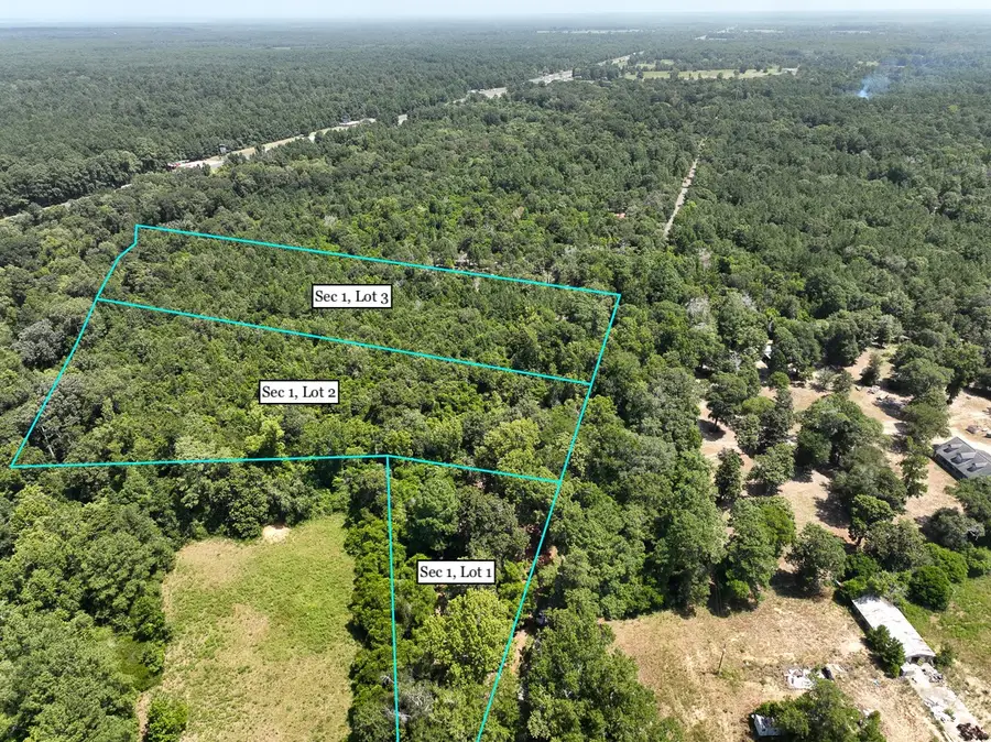 S1L3 Lake Pool Rd, Shepherd, TX 77371 - Image #3