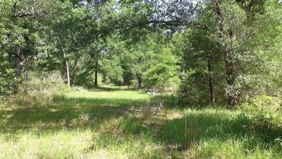 00 Private Road 1581 Road, Hallettsville, TX 77964 - #2