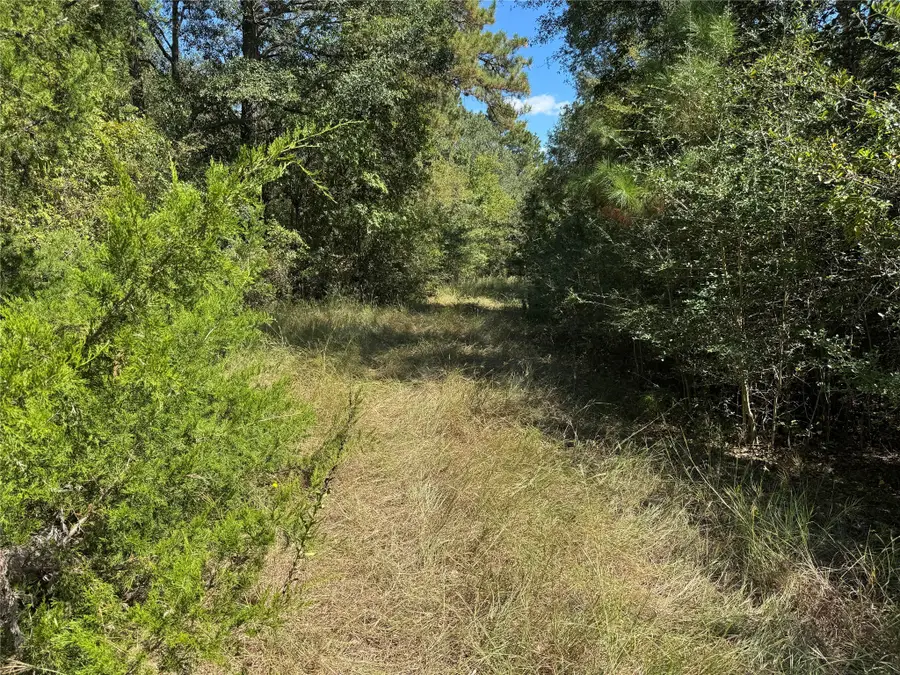 22630 Foxwood Drive, Navasota, TX 77868 - Image #3