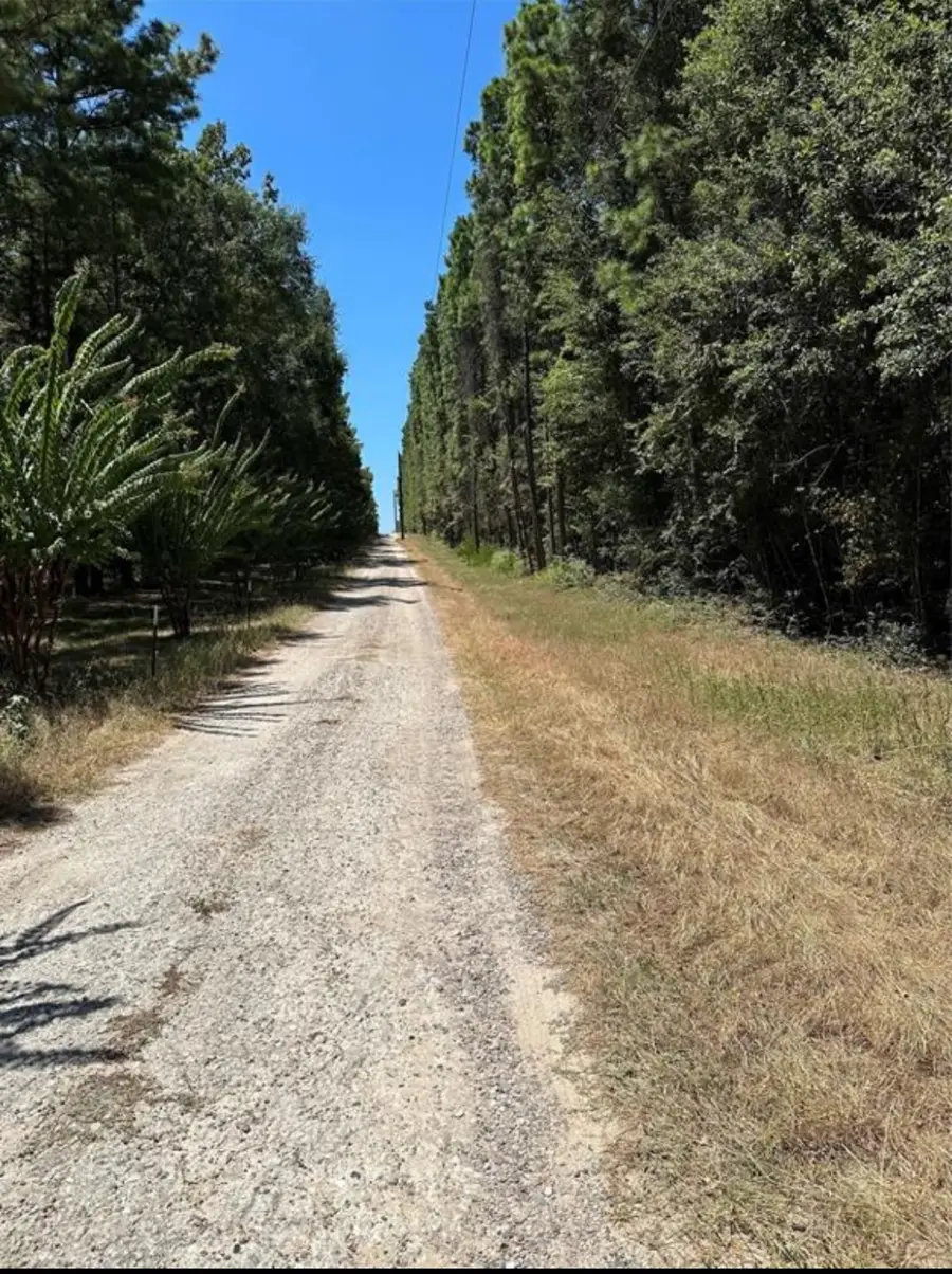 1000 Mohawk, Conroe, TX 77316 - Image #2