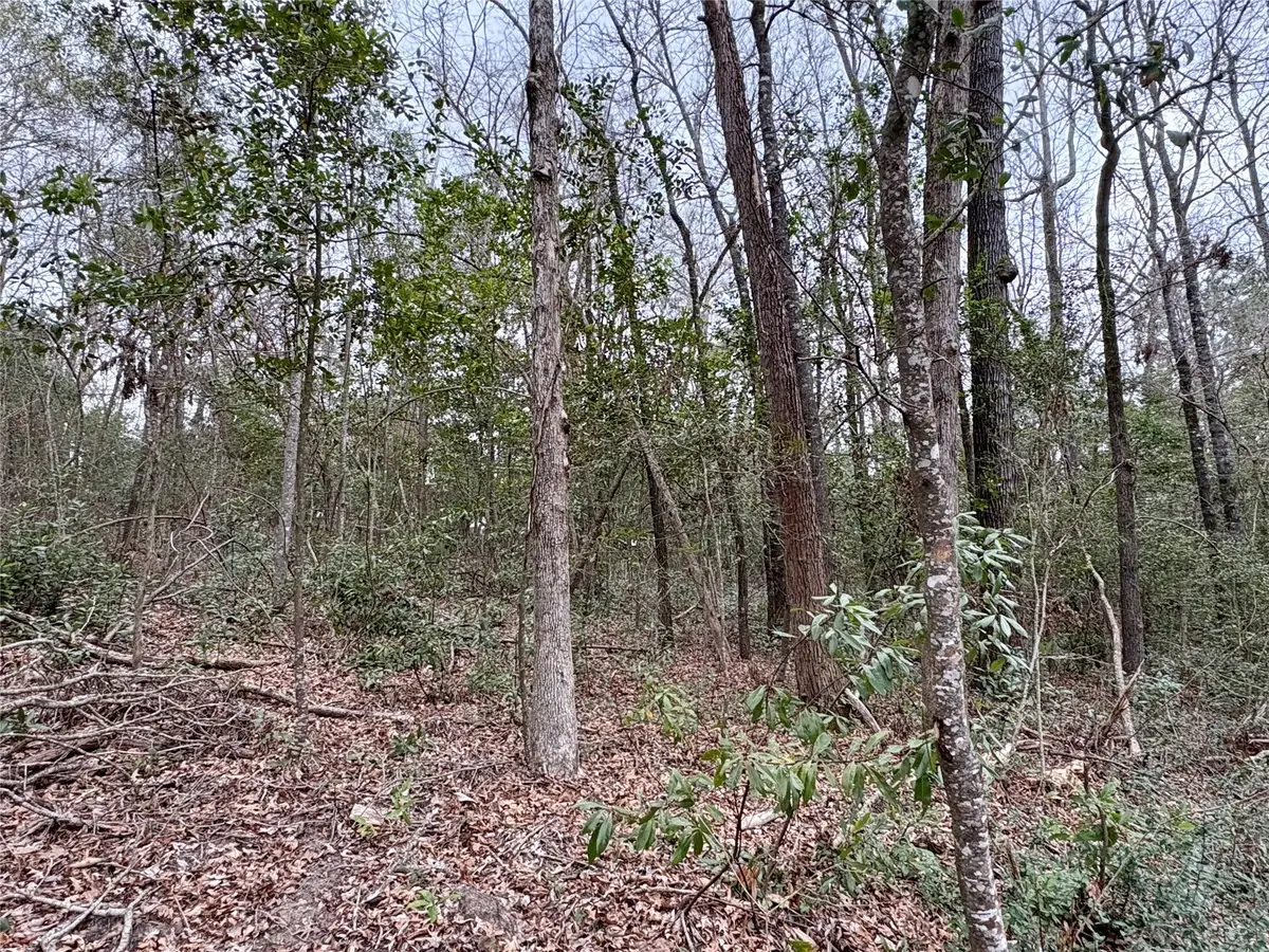 TBD Hinson Hill Road, Livingston, TX 77351 - #1