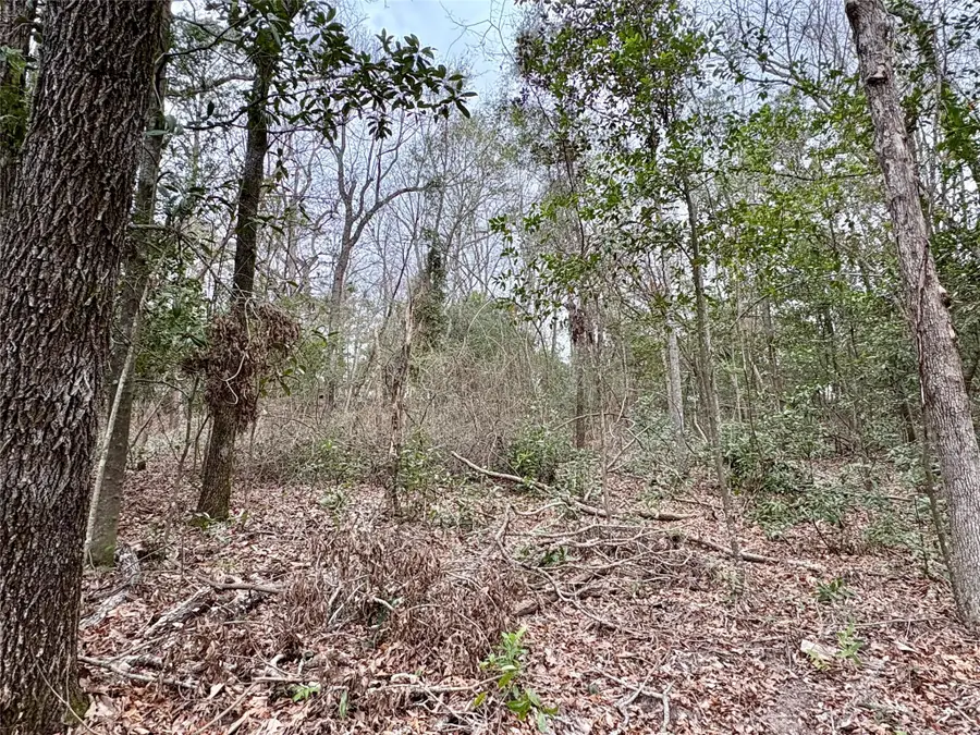 TBD Hinson Hill Road, Livingston, TX 77351 - #2