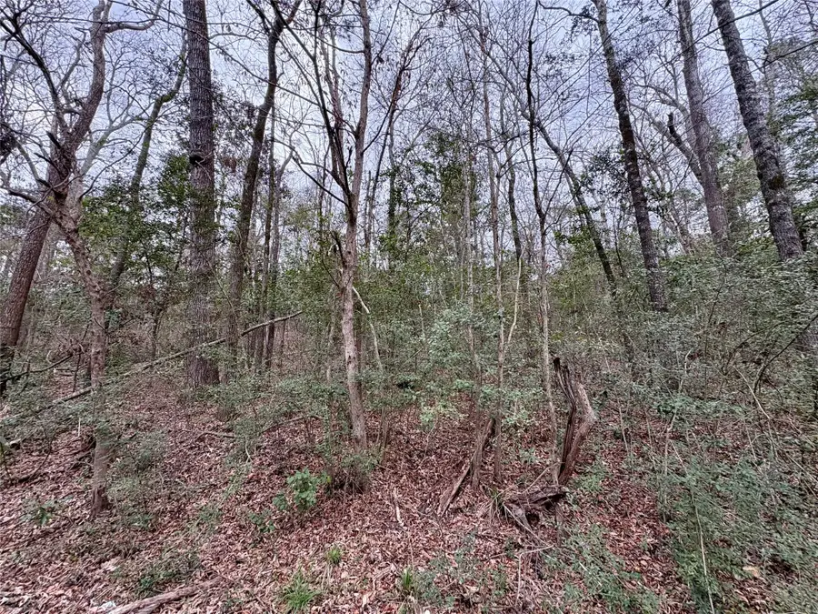 TBD Hinson Hill Road, Livingston, TX 77351 - #3