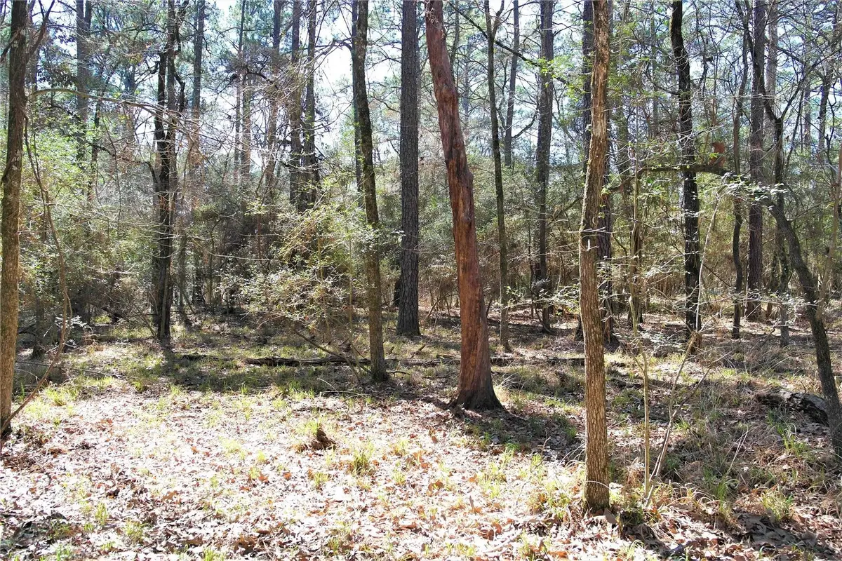 5 Magnolia Court, Trinity, TX 75862 - Image #1