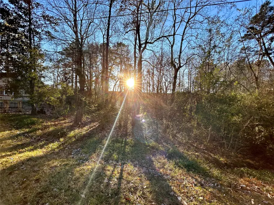 TBD Royal Springs Road, Conroe, TX 77303 - #3