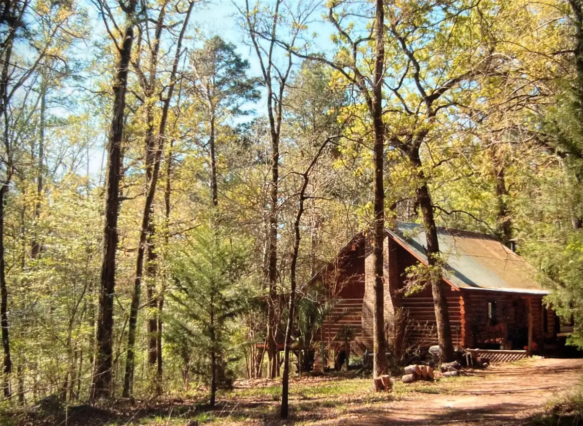 1593 Cr 2290, Grapeland, TX 75844 - Image #1