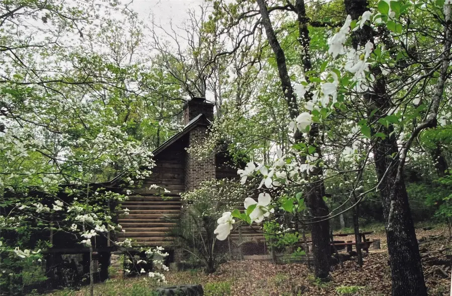 1593 Cr 2290, Grapeland, TX 75844 - Image #2