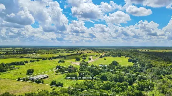 TBD Hudson Farms Road - Tract 5 - 12 Acres, Franklin, TX 77859