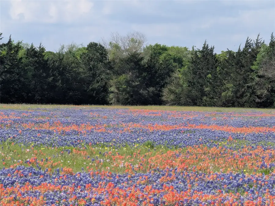 0031 Fm 2562 And Cr 218 Road, Anderson, TX 77830 - #2