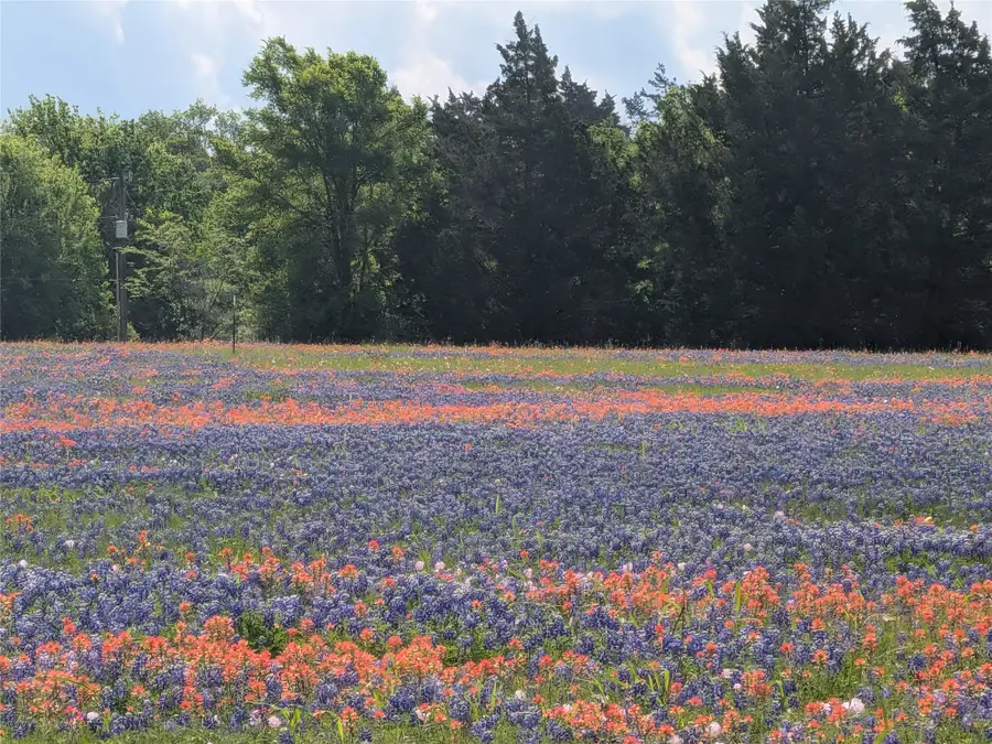 0031 Fm 2562 And Cr 218 Road, Anderson, TX 77830 - #3