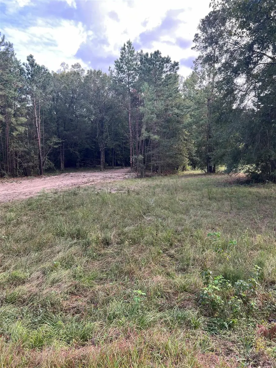 1090 Alma Drive, Lumberton, TX 77657 - #2