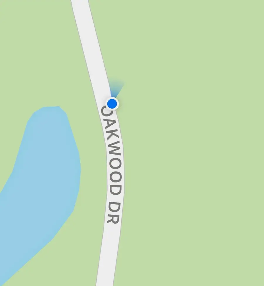 TBD Live Oak Drive, Plantersville, TX 77363 - Image #3