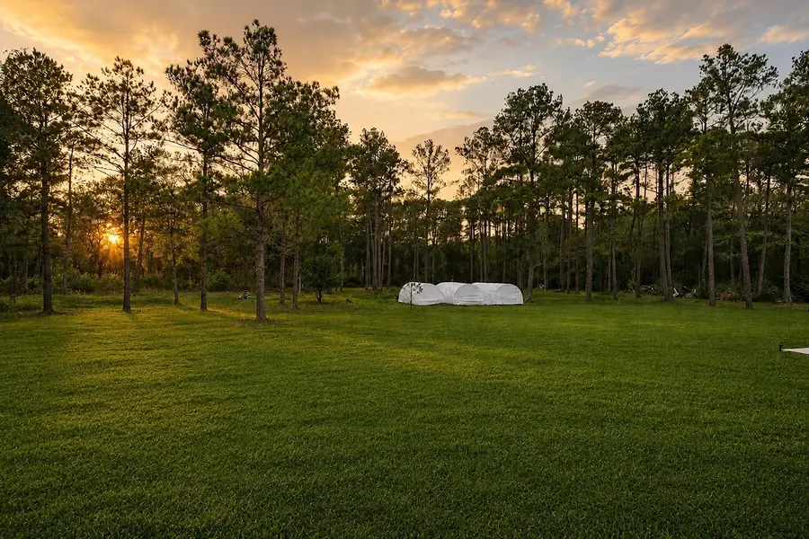 1031 Hunters Creek Way, Hockley, TX 77447 - #3