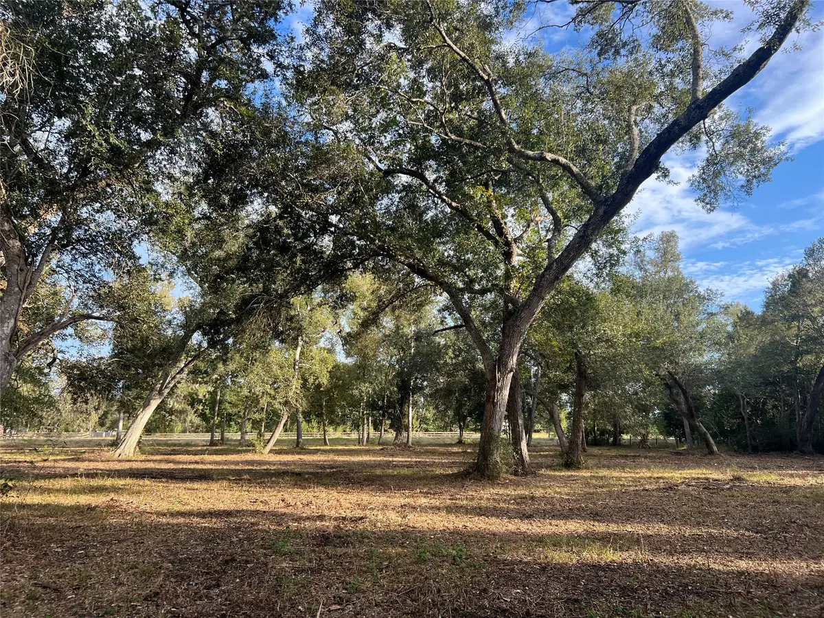 0 Cr-525, Sweeny, TX 77480 - #1