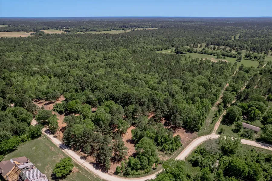 6077 Cr 4200, Pennington, TX 75856 - Image #2