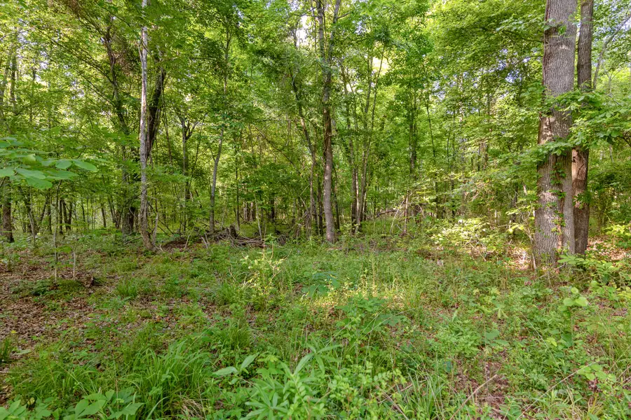 1478 Cr-4316, De Kalb, TX 75559 - #2