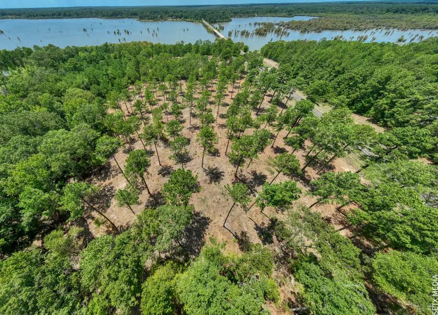 008 Fm 83, Broaddus, TX 75929 - Image #2