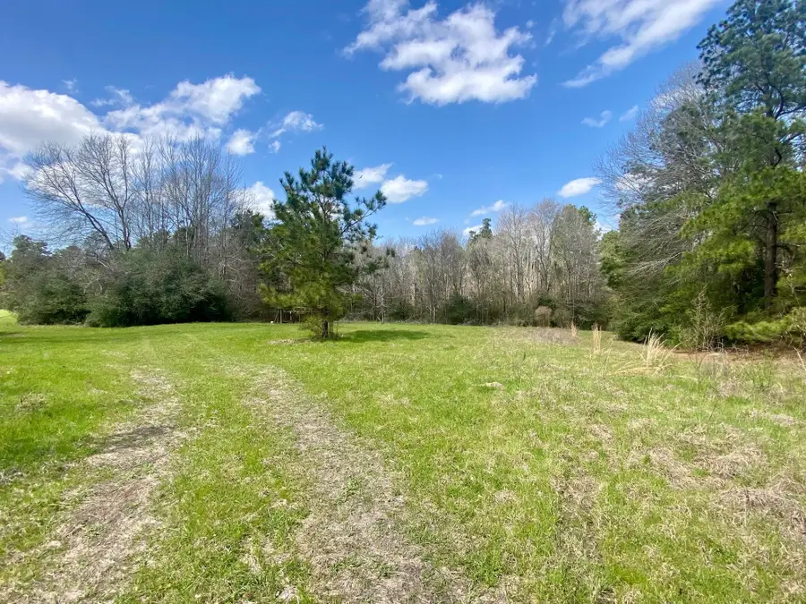 TBD Off Fm 2781, Kennard, TX 75847 - Image #3