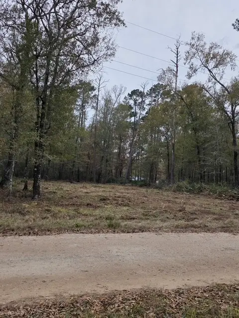 222 Wendy Way, Livingston, TX 77351
