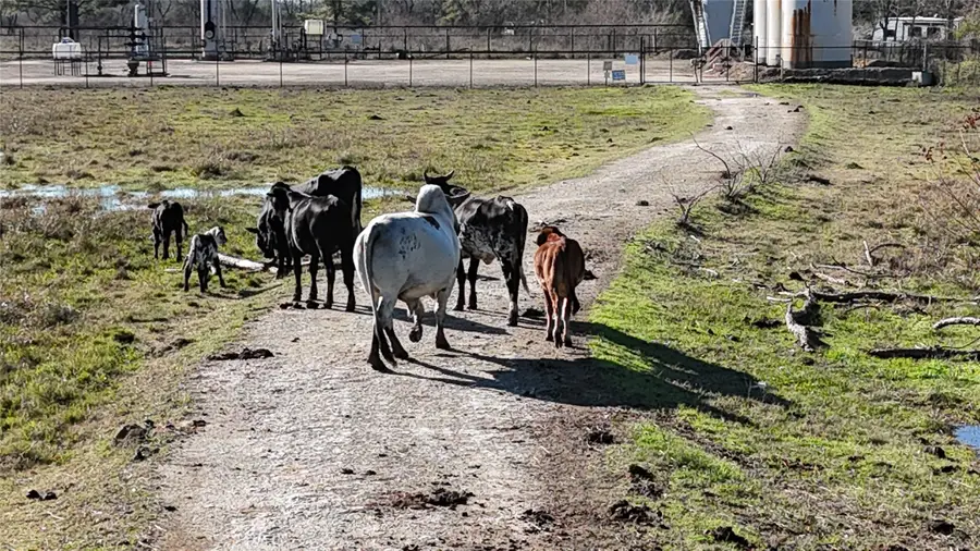 0 N Main St Street, Baytown, TX 77521 - Image #2