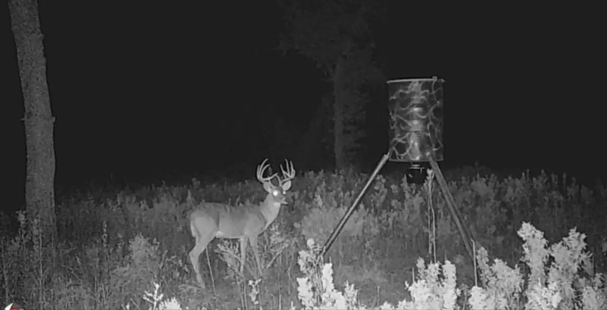 3747 Sparta Field Road, Waelder, TX 78959 - Image #1