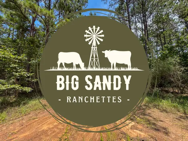 T-8 Benny Griffin Road, Livingston, TX 77351