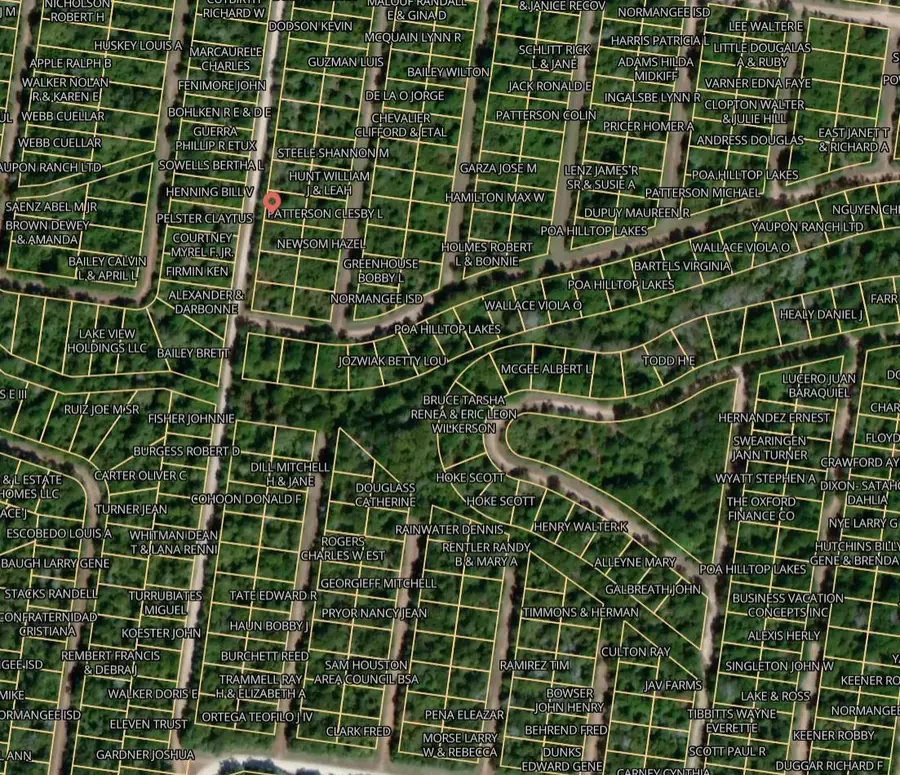 Lot 18 Waco Street, Normangee, TX 77871 - Image #3