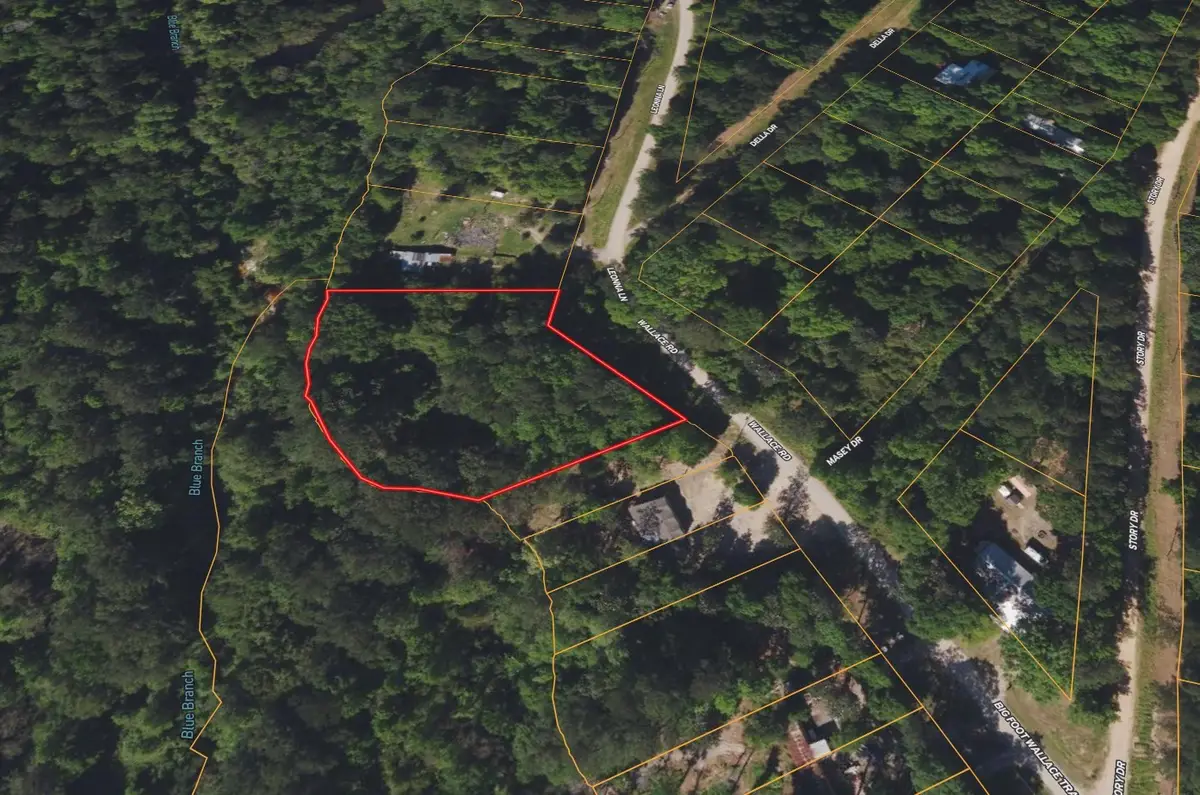 0000 Big Foot Wallace Trail, Livingston, TX 77351 - #1