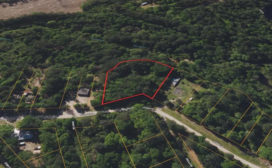 0000 Big Foot Wallace Trail, Livingston, TX 77351 - #2