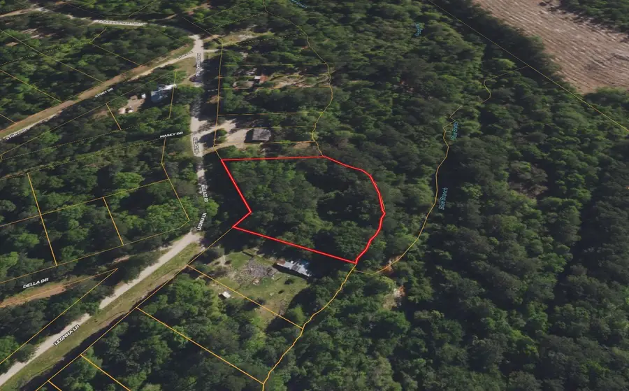 0000 Big Foot Wallace Trail, Livingston, TX 77351 - #3