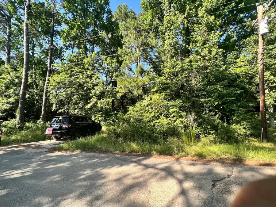 TBD Milton Whatley Rd, Montgomery, TX 77356 - Image #2