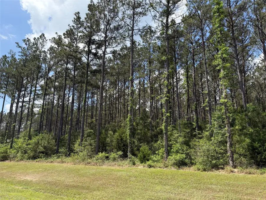 15693 Wooded Trail Way, Willis, TX 77378 - #2